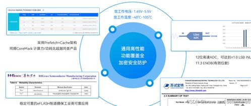 国产MCU学习Day17 CW32F030C8T6——揭秘Flash存储器的关键操作与优化与数据处理和存储支持服务的深度洞察
