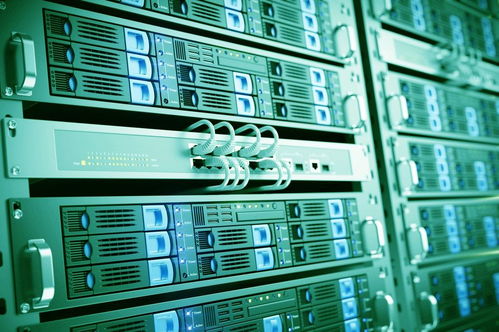 MongoDB 赋能Web应用的可扩展高性能数据存储解决方案